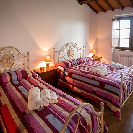 Agriturismo La Collina Del Sole Coltavolino Exteriör bild